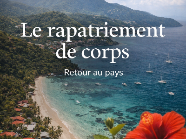  Rapatriement aux Antilles depuis Marseille : démarches, délais et coûts complets