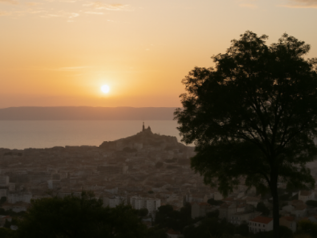 Pompes Funèbres de Marseille Permanence décès 24/24 et 7j/7  Lost Funéraire