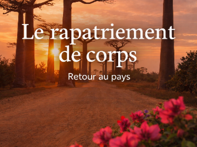 Rapatriement à Madagascar depuis Marseille : démarches, délais et coûts complets